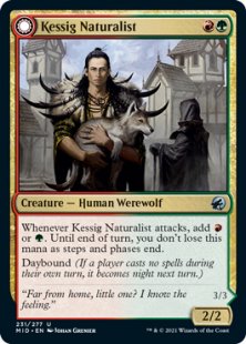 Kessig Naturalist (foil)