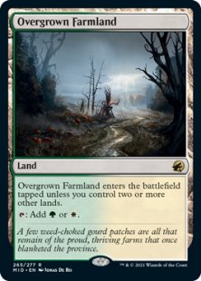 Overgrown Farmland (foil)