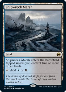 Shipwreck Marsh (foil)