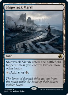 Shipwreck Marsh