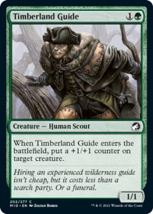 Timberland Guide (foil)