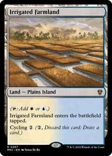 Irrigated Farmland