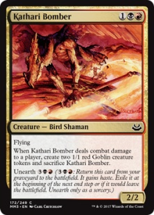 Kathari Bomber