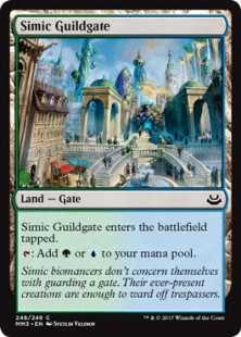 Simic Guildgate (foil)