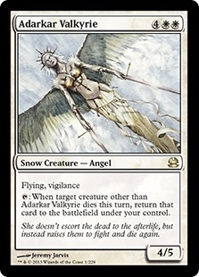 Adarkar Valkyrie