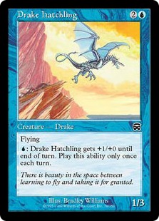 Drake Hatchling (foil)