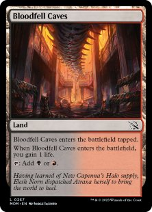 Bloodfell Caves (foil)