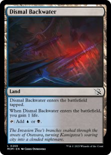 Dismal Backwater (foil)