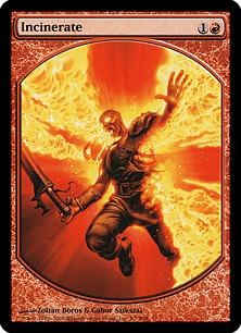 Incinerate (textless)