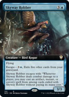 Skyway Robber (extended art)