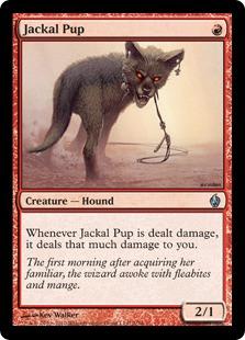 Jackal Pup (foil)