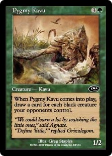 Pygmy Kavu