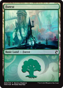 Forest (8) (foil) (Simic)