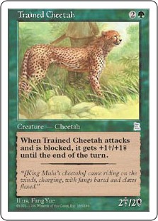 Trained Cheetah (EX)