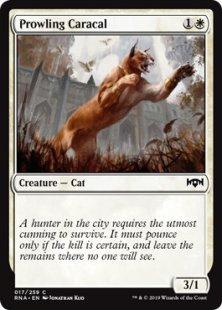 Prowling Caracal (foil)