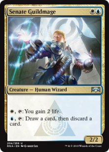 Senate Guildmage (foil)