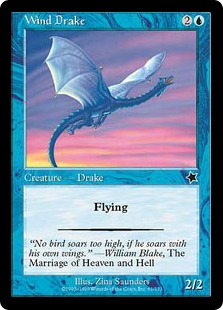 Wind Drake