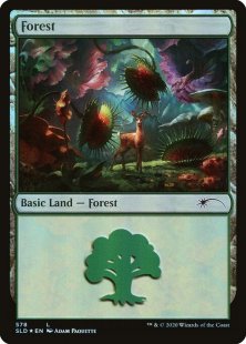 Forest (#578) (foil)