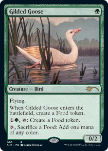 Gilded Goose (Ornithological Studies)