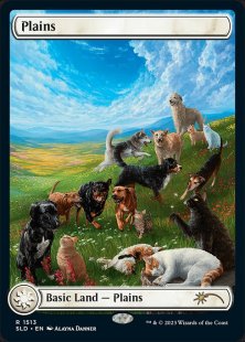 Plains (#1513) (Raining Cats and Dogs) (foil) (full art)