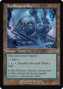 The Surgical Bay (#2163)