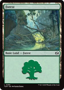 Forest (#285)