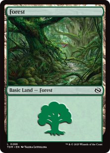 Forest (#286)