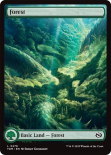 Forest (#276) (full art)