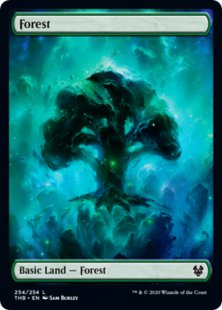 Forest (#254) (full art)