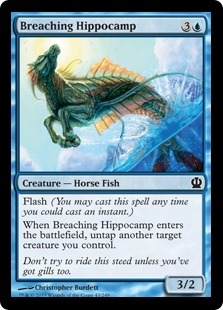 Breaching Hippocamp