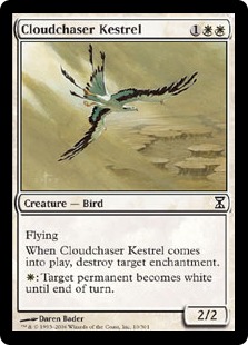 Cloudchaser Kestrel