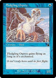 Fledgling Osprey (foil)