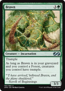 Brawn (foil)