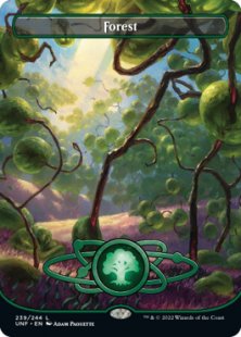 Forest (#239) (full art)