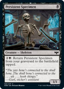 Persistent Specimen (foil)