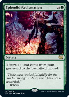 Splendid Reclamation (foil)