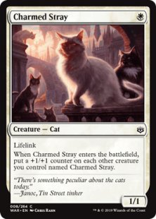 Charmed Stray (foil)