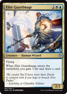 Elite Guardmage (foil)