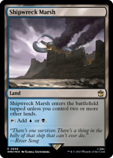 Shipwreck Marsh (surge foil)