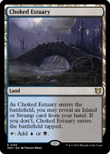 Choked Estuary