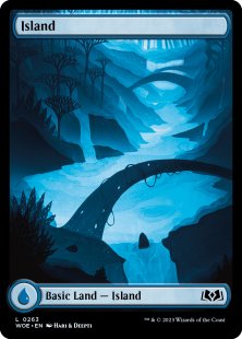 Island (#263) (foil) (full art)