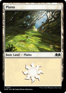 Plains (#267) (foil)