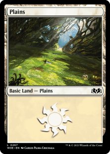 Plains (#267)