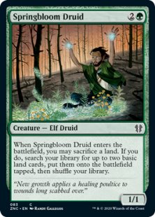 Springbloom Druid