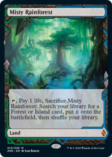 Misty Rainforest (full art)