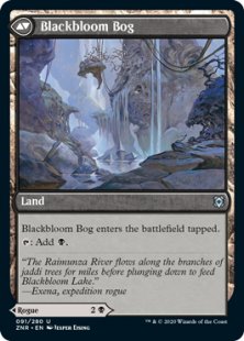 Blackbloom Rogue (foil)