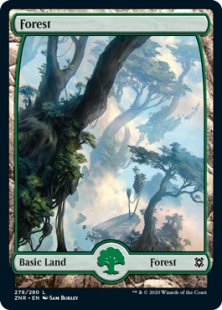 Forest (1) (foil) (full art)