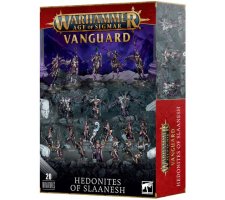 Warhammer Age of Sigmar - Vanguard: Hedonites Of Slaanesh