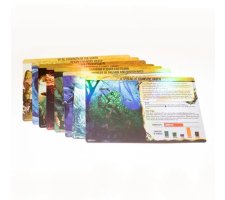 Spirit Island: Core Game - Spirit Island Foil Panels (EN)