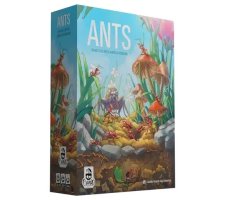 Ants (EN)